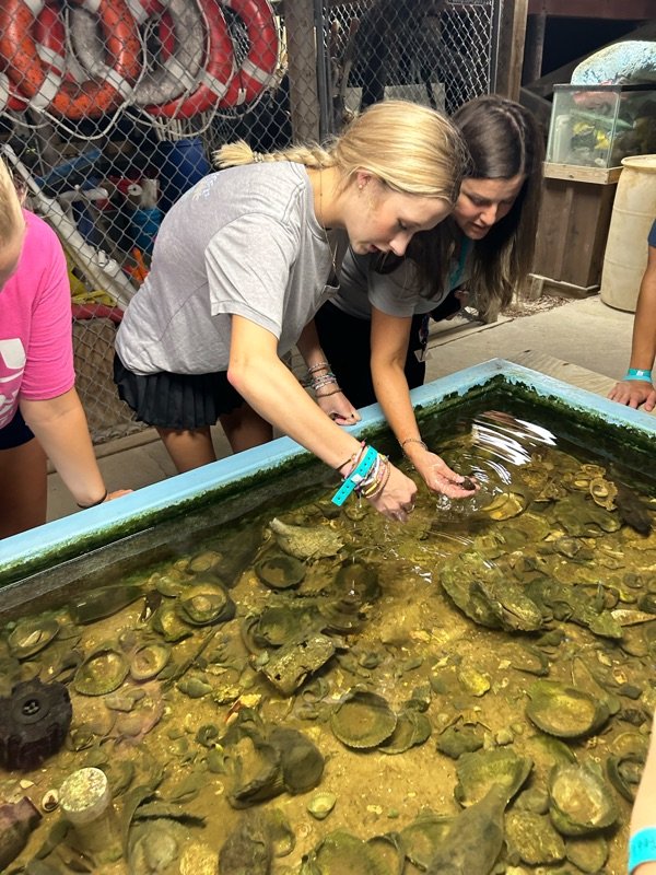 Student examining sea creatures